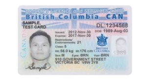 imagen de ¿Cómo obtener tu Licencia de Conducir en Canadá?
