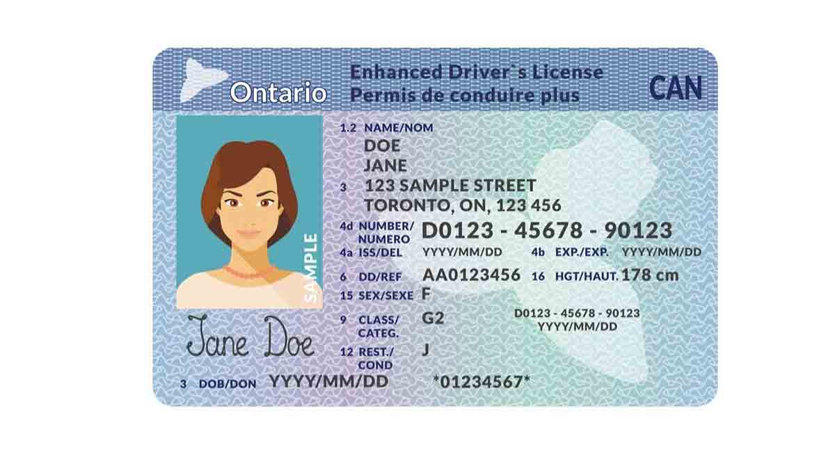 licencia-de-conducir-en-canada